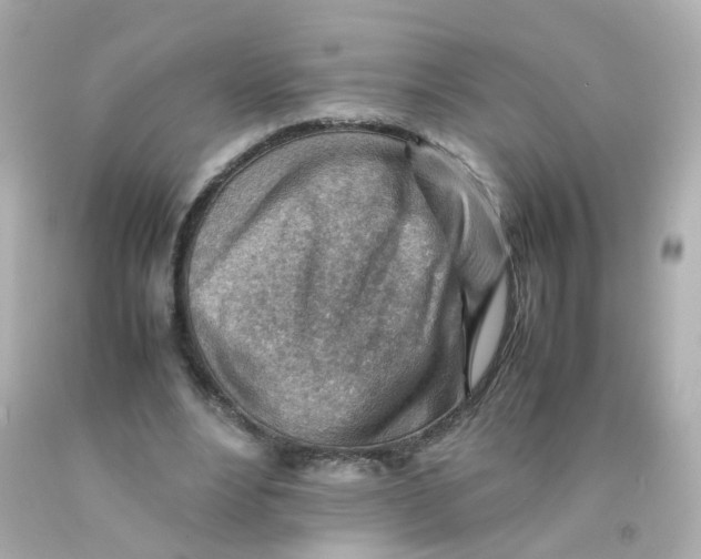 X0000093150488200710241405