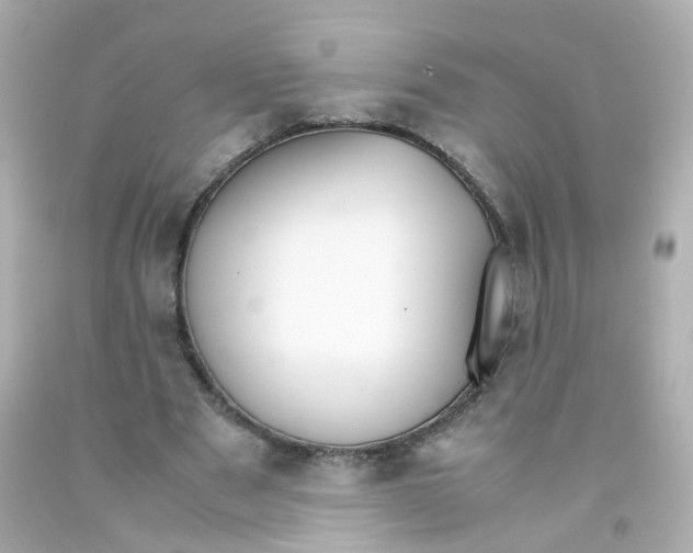 X0000093150489200710241405