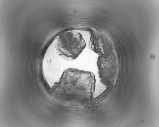 X0000093150491200710241405