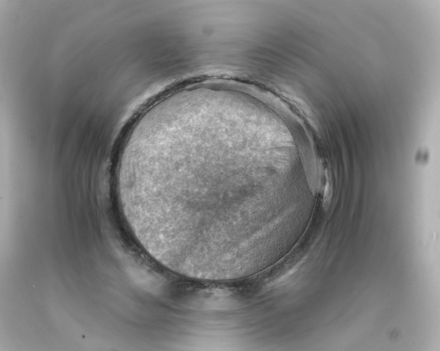 X0000093150492200710241405