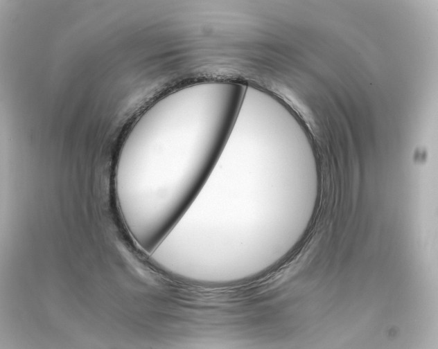 X0000093150493200710241405