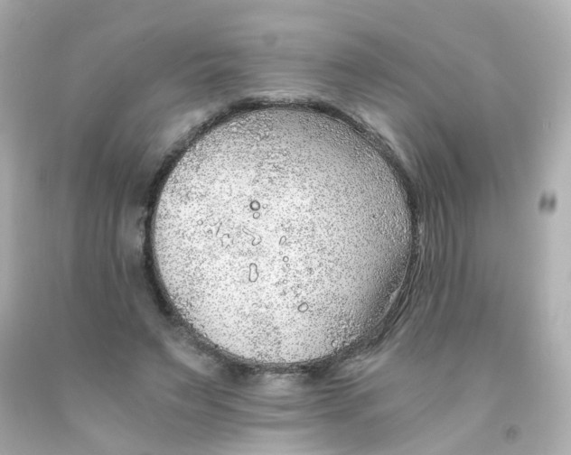 X0000093150495200710241405