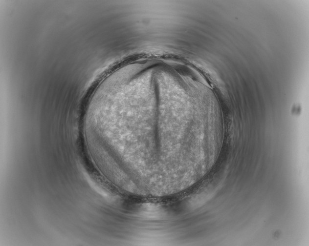 X0000093150496200710241405