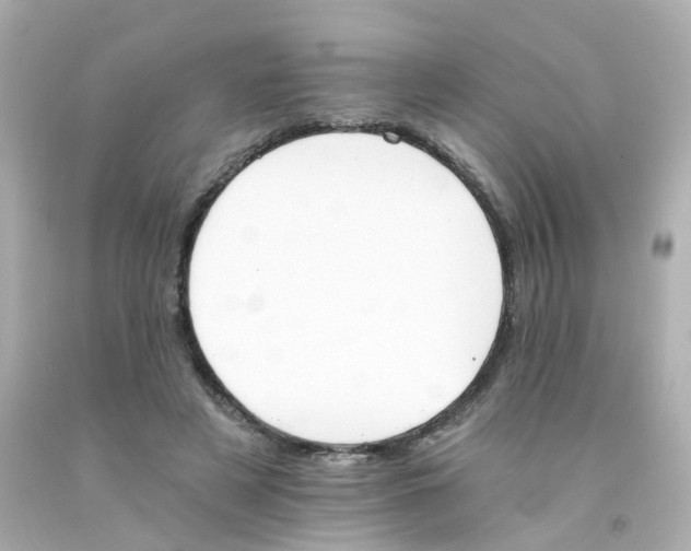 X0000093150497200710241405