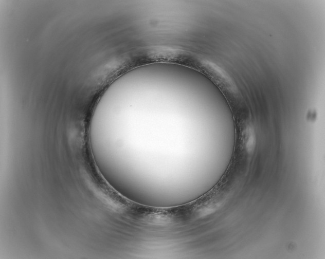 X0000093150498200710241405