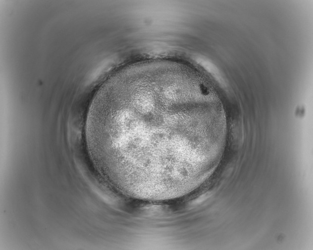 X0000093150499200710241405