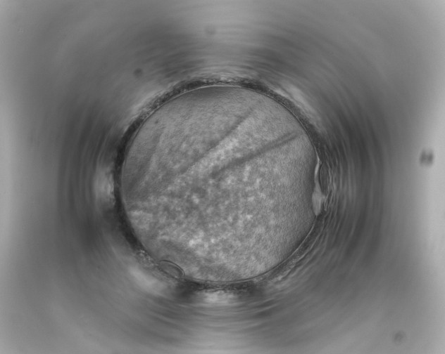 X0000093150500200710241405