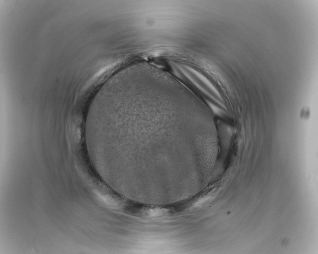 X0000093150501200710241405