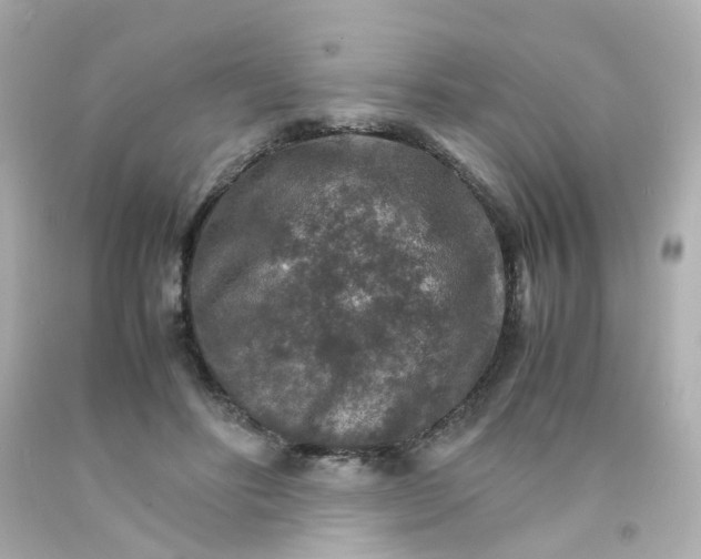 X0000093150502200710241405