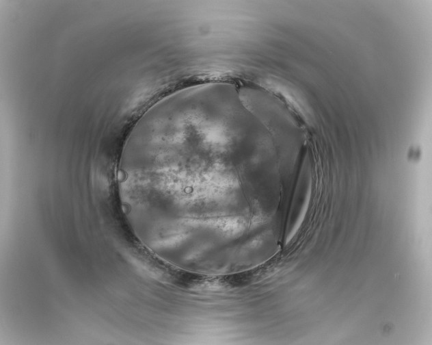 X0000093150503200710241405