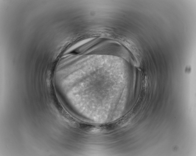 X0000093150504200710241405