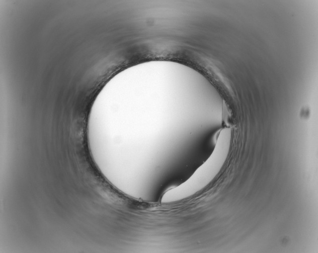 X0000093150505200710241405