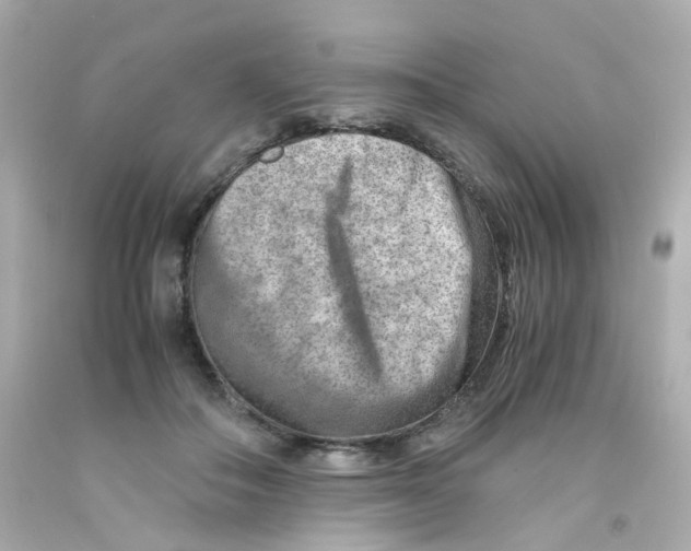 X0000093150506200710241405