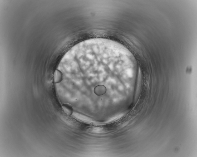 X0000093150507200710241405