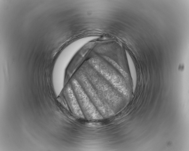 X0000093150508200710241405