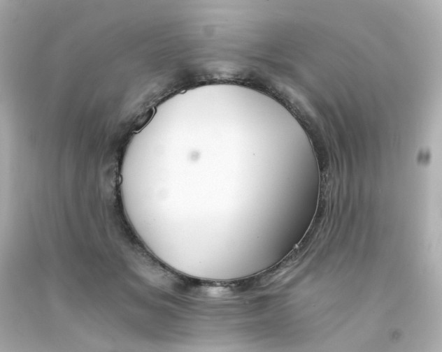 X0000093150509200710241405