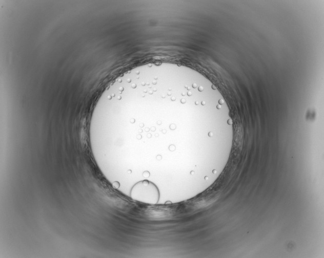 X0000093150510200710241405