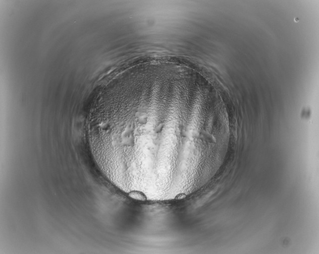 X0000093150511200710241405