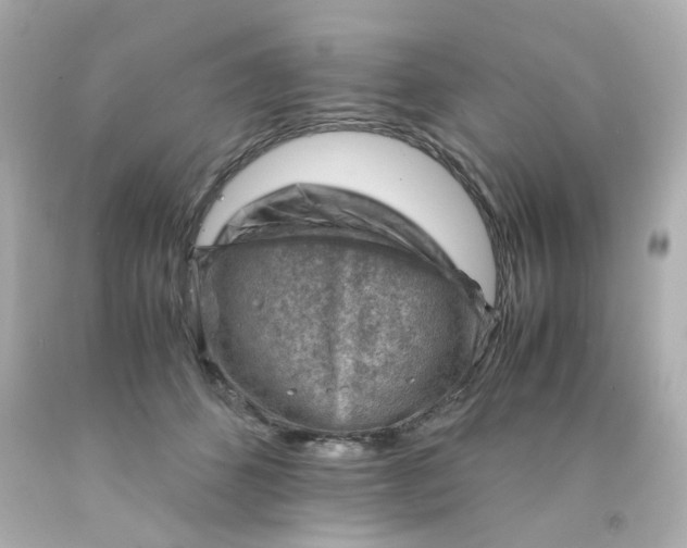 X0000093150512200710241405