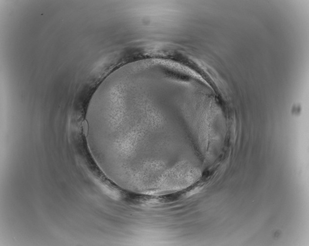 X0000093150513200710241405