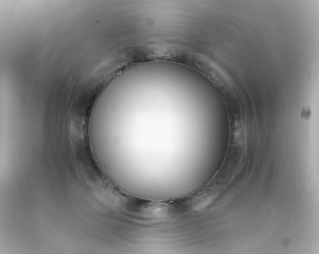 X0000093150514200710241405