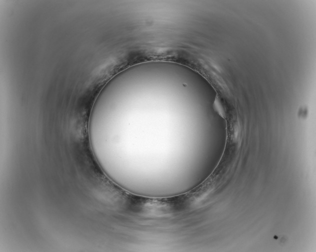 X0000093150515200710241405