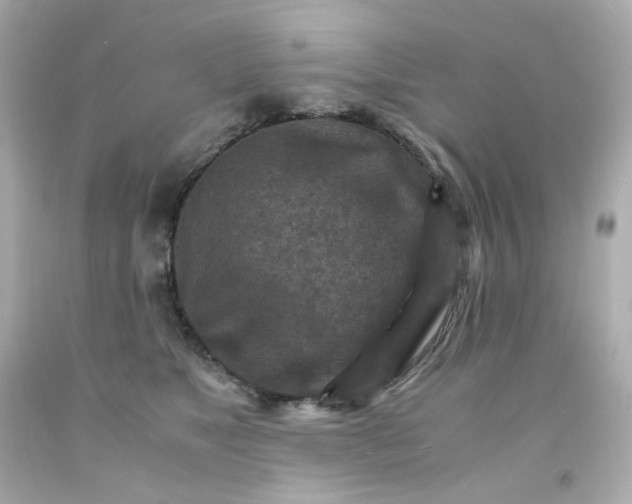 X0000093150517200710241405