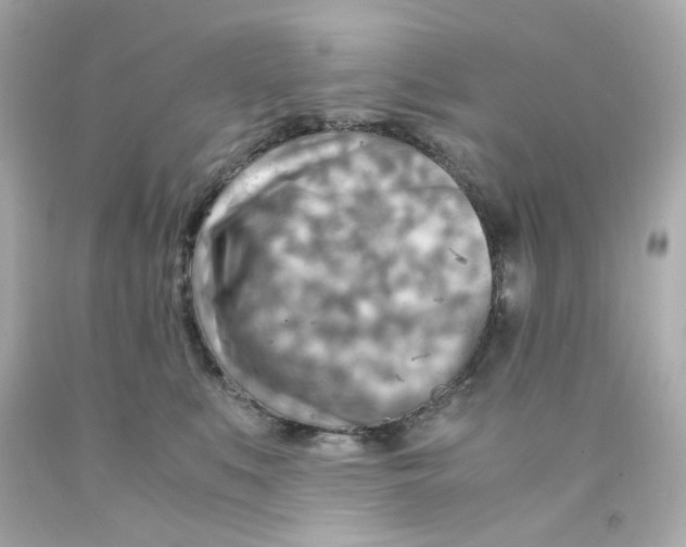 X0000093150519200710241405