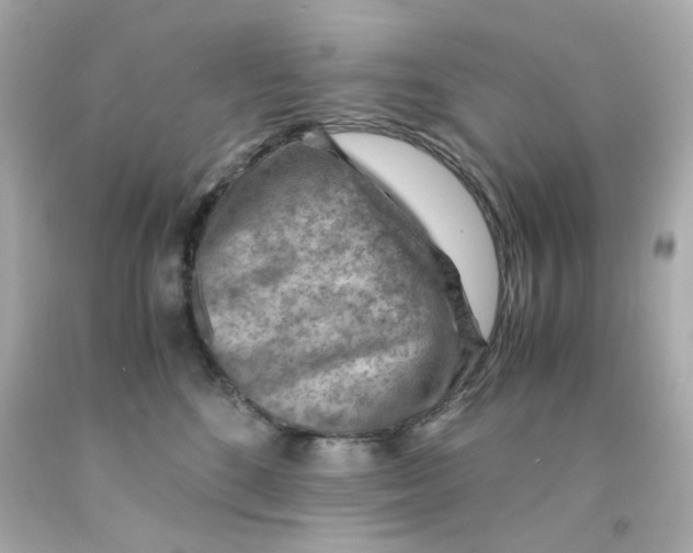 X0000093150520200710241405