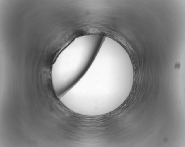 X0000093150521200710241405