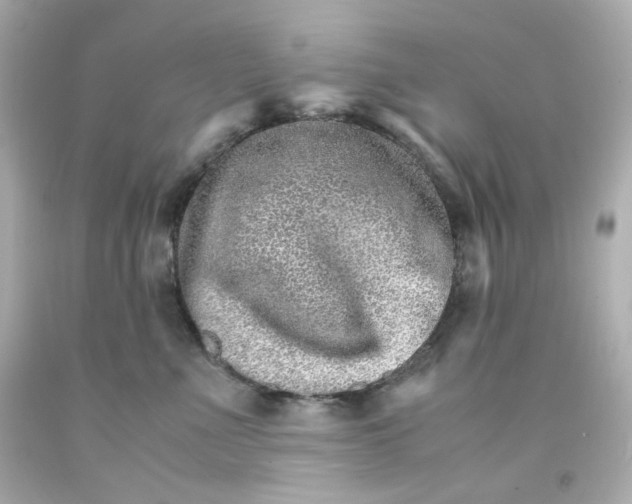 X0000093150523200710241405