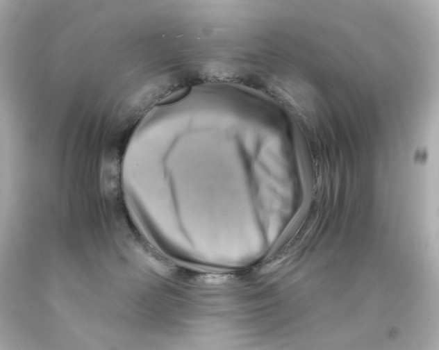 X0000093150526200710241405