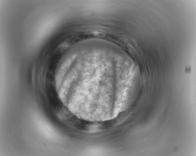 X0000093150527200710241405