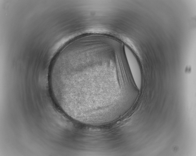 X0000093150531200710241404