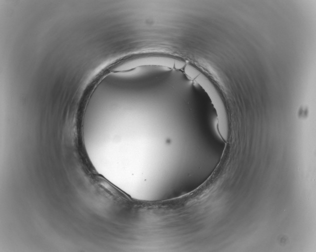 X0000093150532200710241404