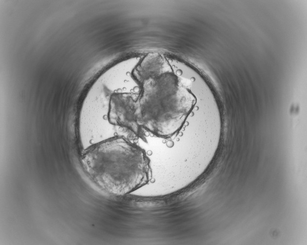 X0000093150533200710241404