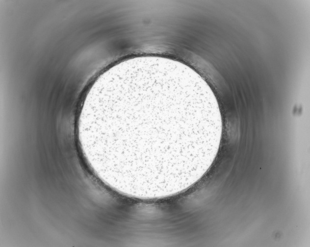 X0000093150534200710241404