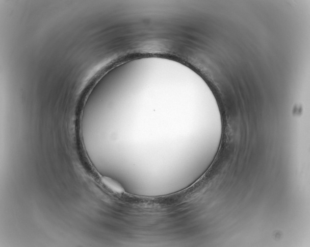 X0000093150535200710241404