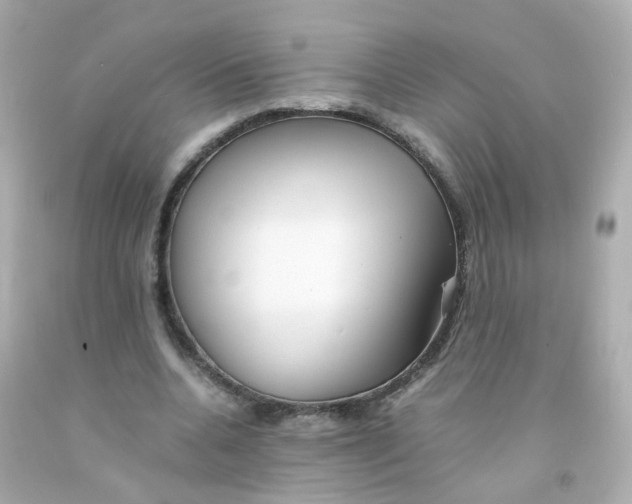 X0000093150536200710241404