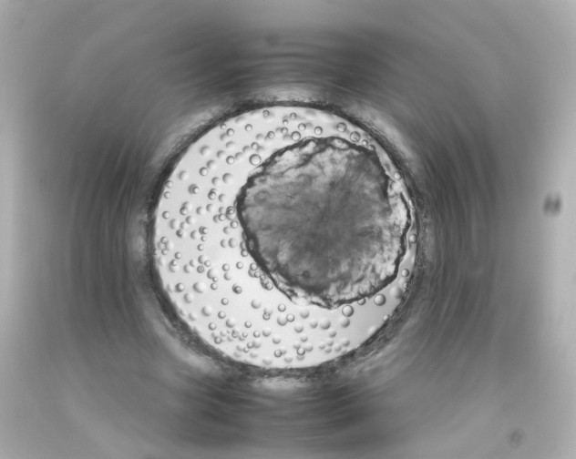 X0000093150537200710241404