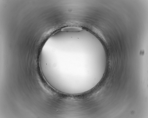 X0000093150538200710241404