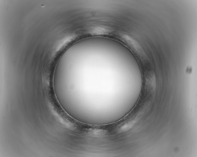 X0000093150539200710241405