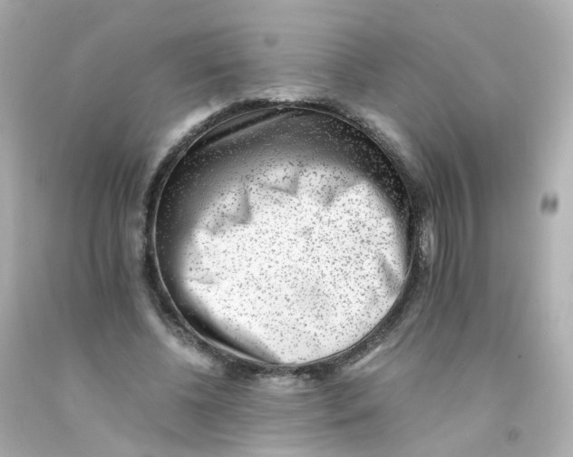 X0000093150540200710241405