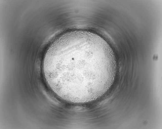 X0000093150542200710241405