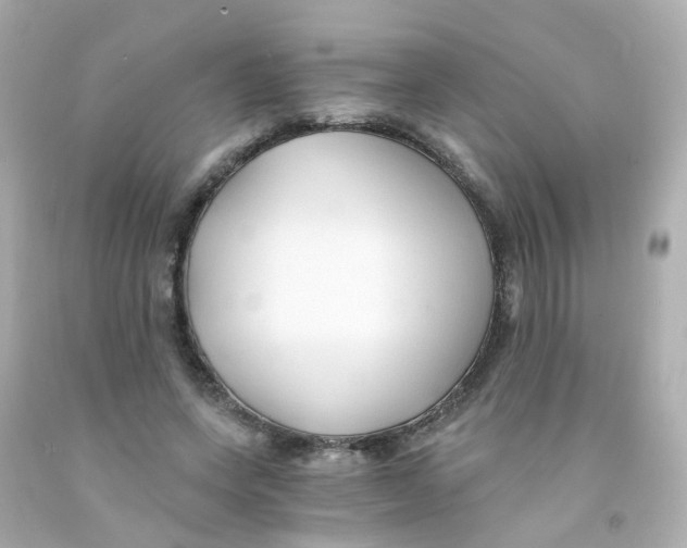 X0000093150543200710241405