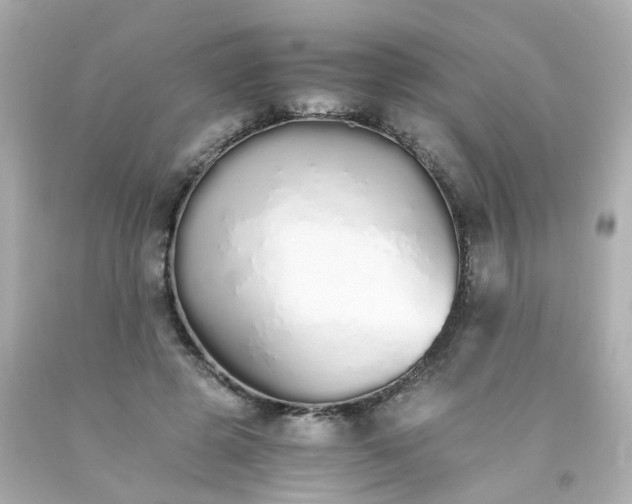 X0000093150545200710241405