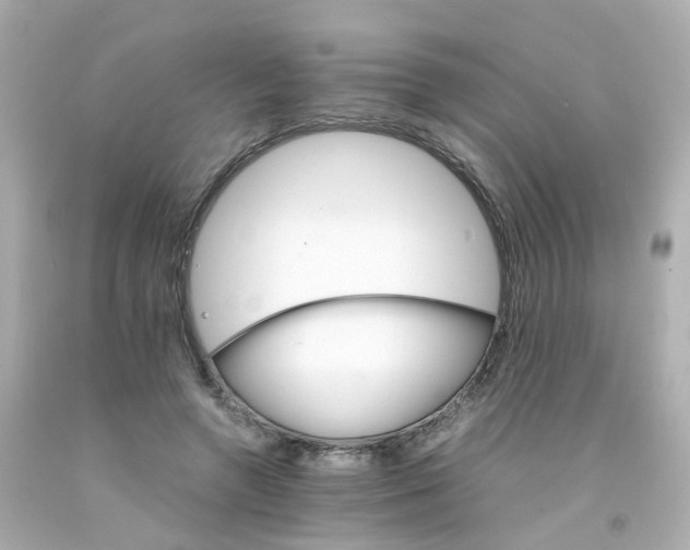 X0000093150546200710241405