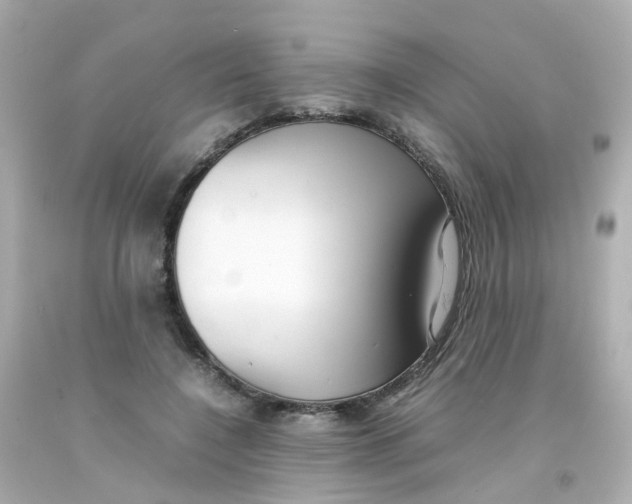 X0000093150548200710241405