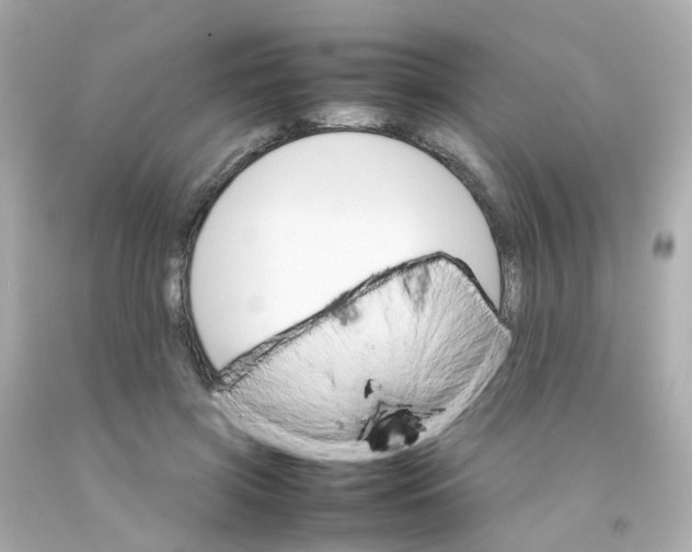 X0000093150549200710241405