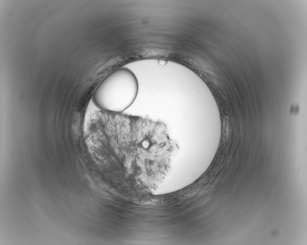 X0000093150550200710241405